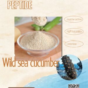 Sea Cucumber Peptide