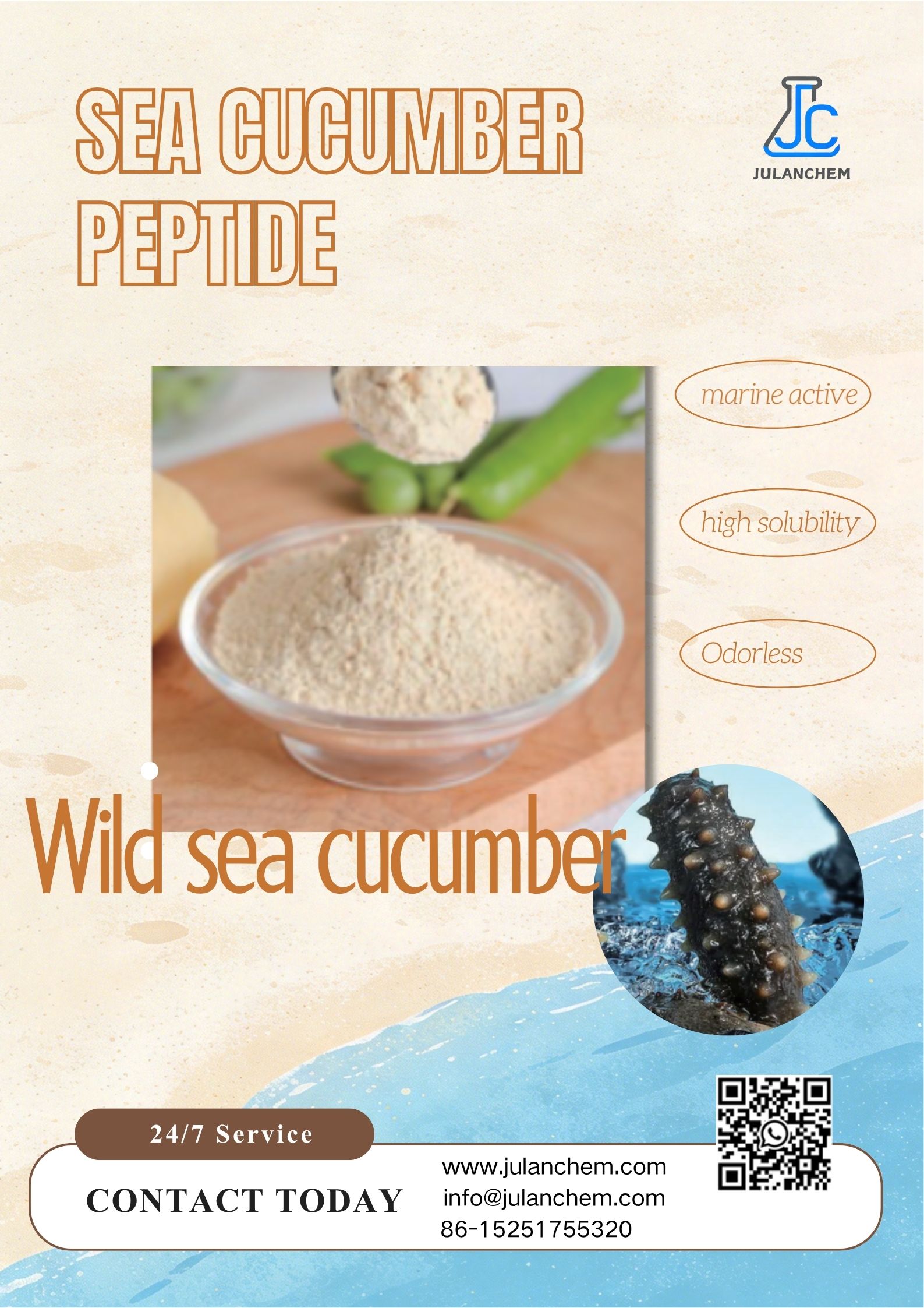 Sea Cucumber Peptide